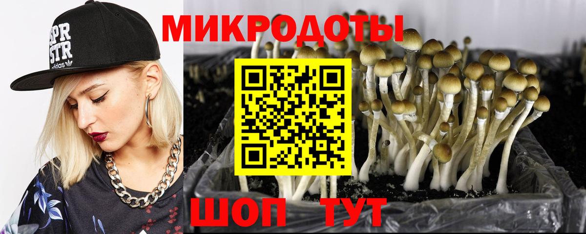 Псилоцибиновые грибы GOLDEN TEACHER Миасс