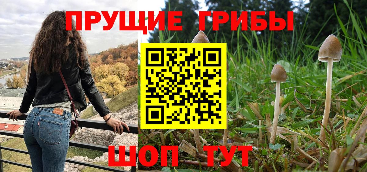 Галлюциногенные грибы мицелий  Вход с VPN  Миасс  Псилоцибиновые грибы Psilocybe 